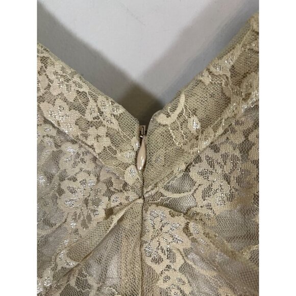 Express Dress 6 Tan Floral Mini Lace Mesh Western Boho Indie Festival Feminine - Picture 3 of 11